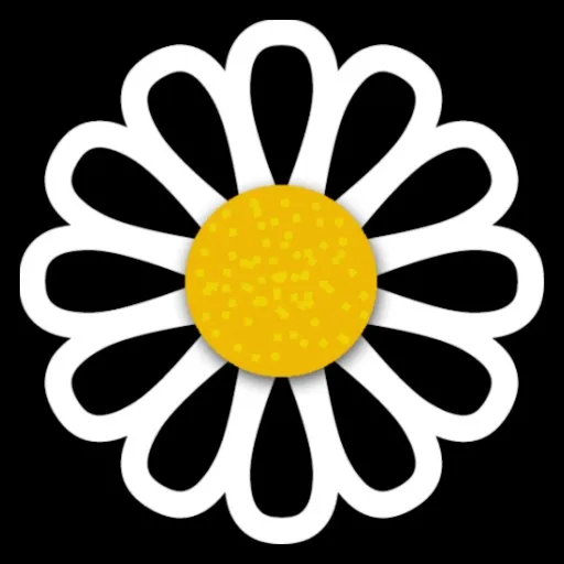 Camomile