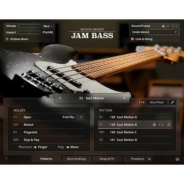 Native Instruments Session Bassist: Jam Bass