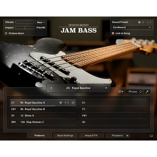 Native Instruments Session Bassist: Jam Bass