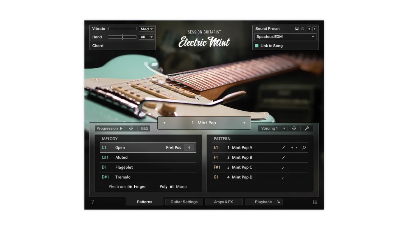 Native Instruments Session Guitarist: Electric Mint