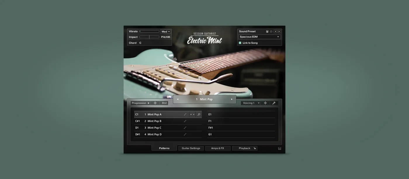 Native Instruments Session Guitarist: Electric Mint