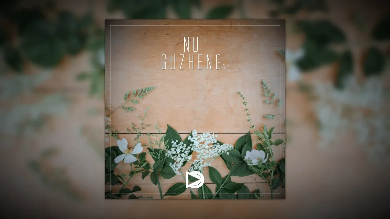 Nu Guzheng
