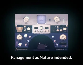Panagement Full Edition