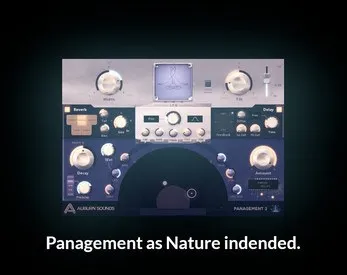 Panagement Full Edition
