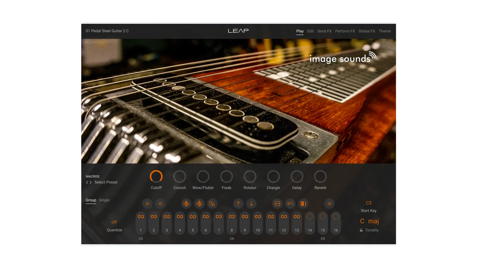Pedal Steel Guitar 2